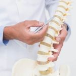 Partes de la columna vertebral